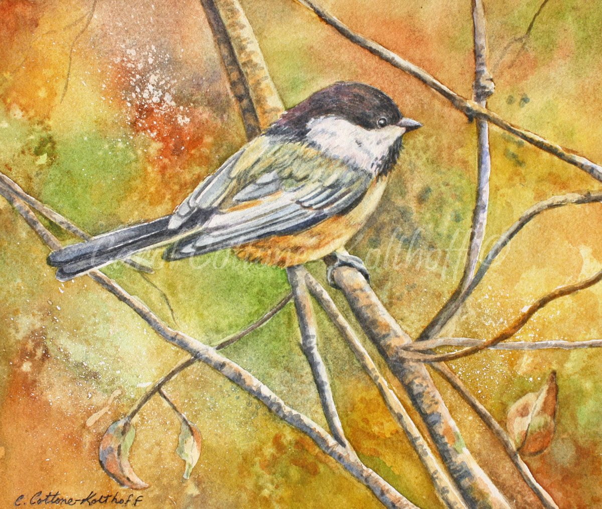 Chicadee Painting by Carol Cottone-Kolthoff, Image 1.