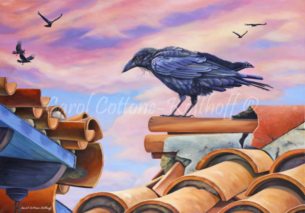 Catalina Raven by Carol Cottone-Kolthoff 