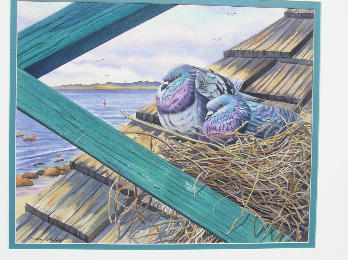 Green Gables pidgeon by Carol Cottone-Kolthoff 