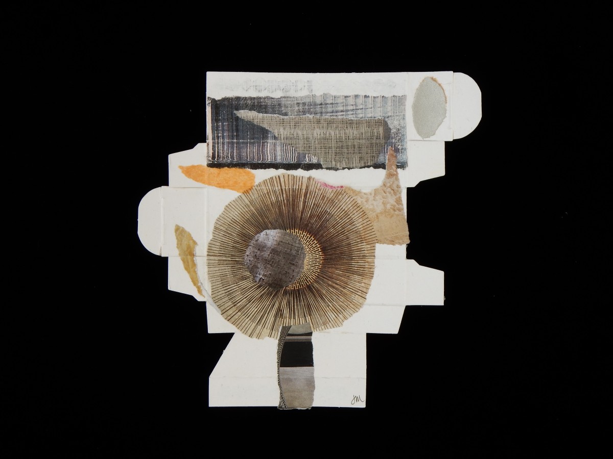 Unboxed 015 [eye cream box] by Janice McDonald 