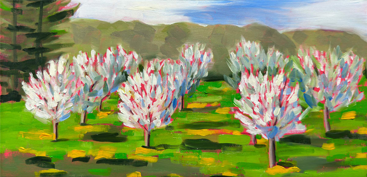Fields of Joy by Judy Kelly  Image: Blossoming Cherries on Joyfield Road, Benzie County, Michigan, US