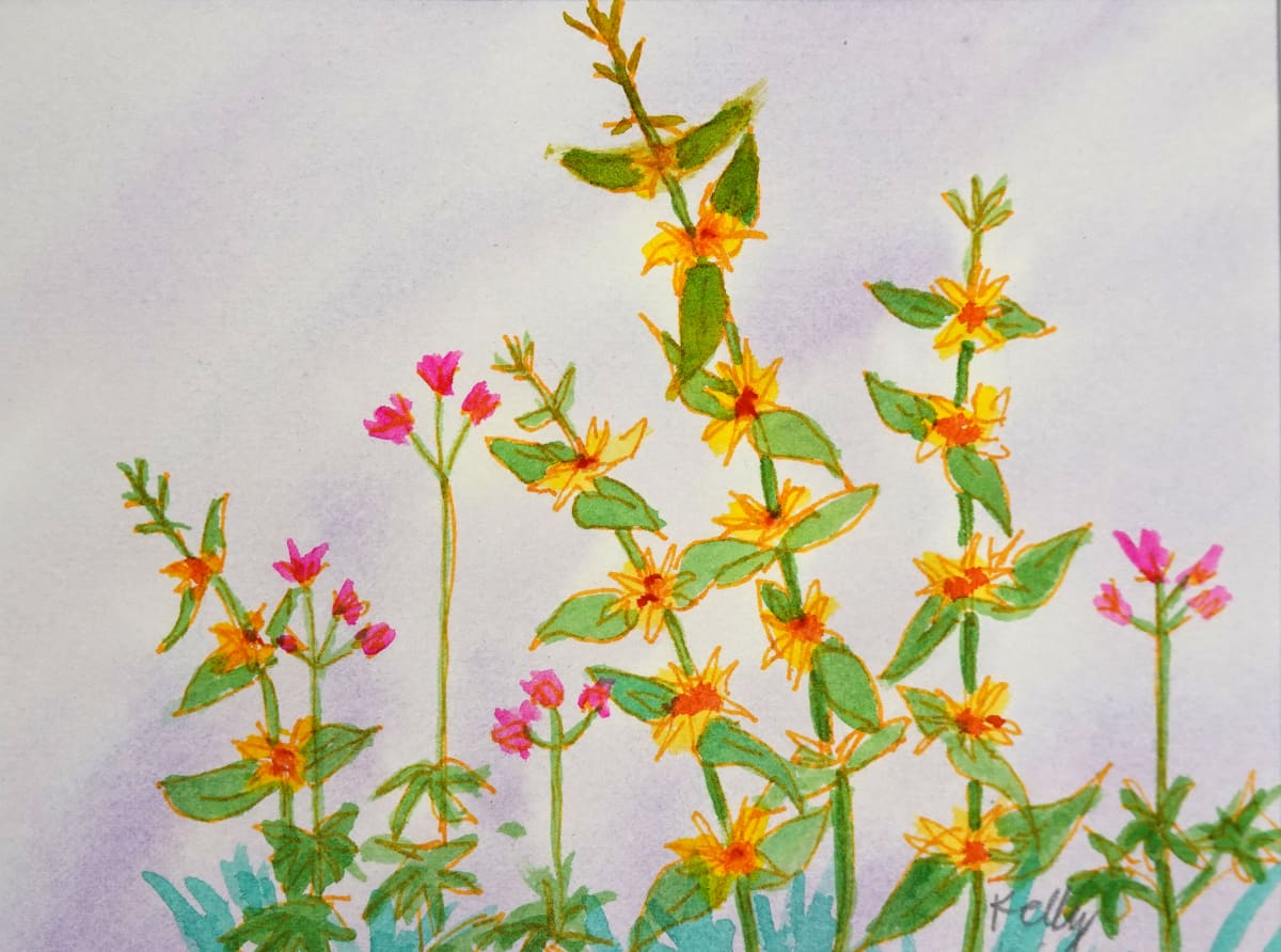 Garden Loosestrife by Judy Kelly  Image: Colorful garden flowers.