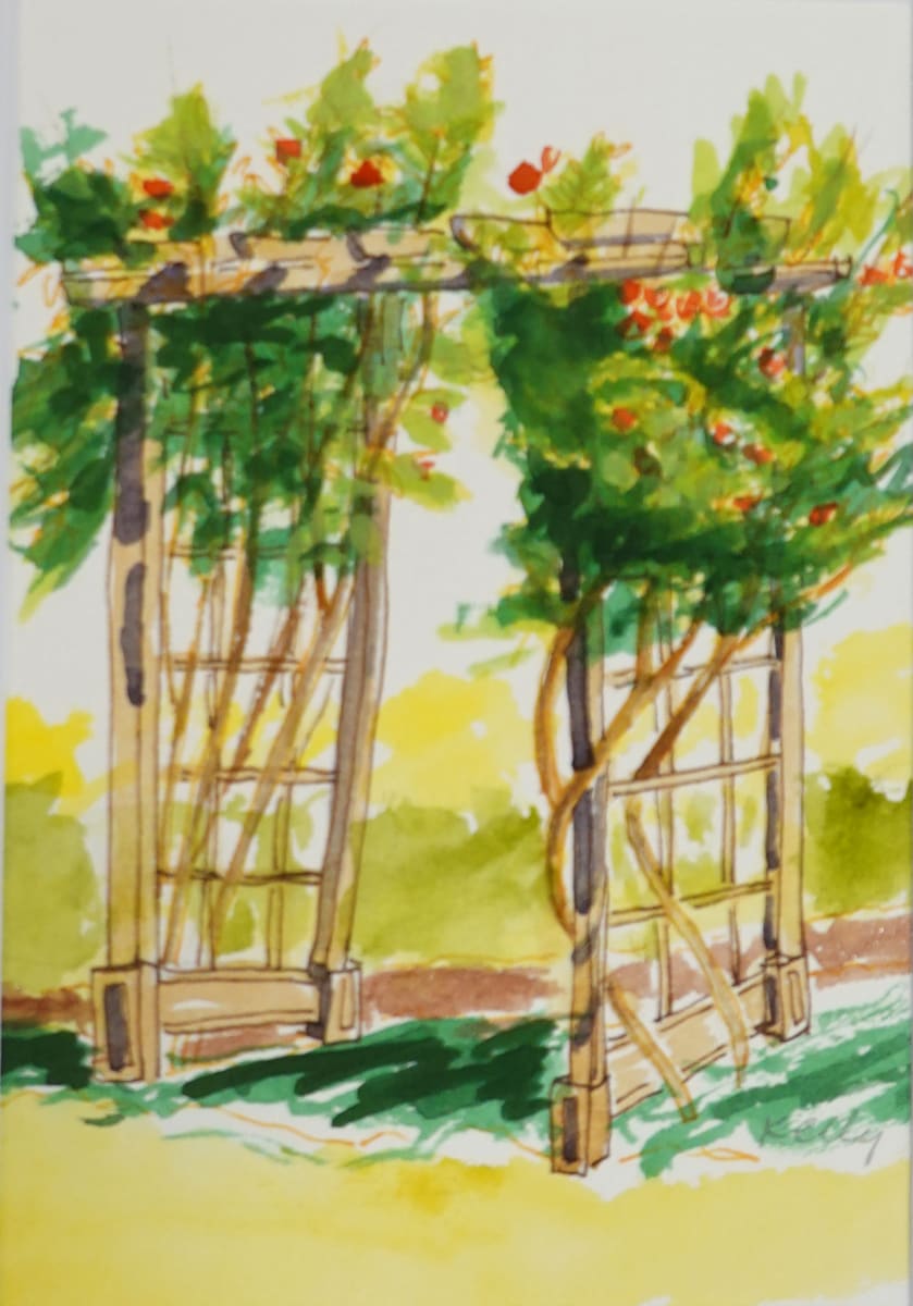 The Old Trellis by Judy Kelly  Image: An old trellis covered by rose vines.