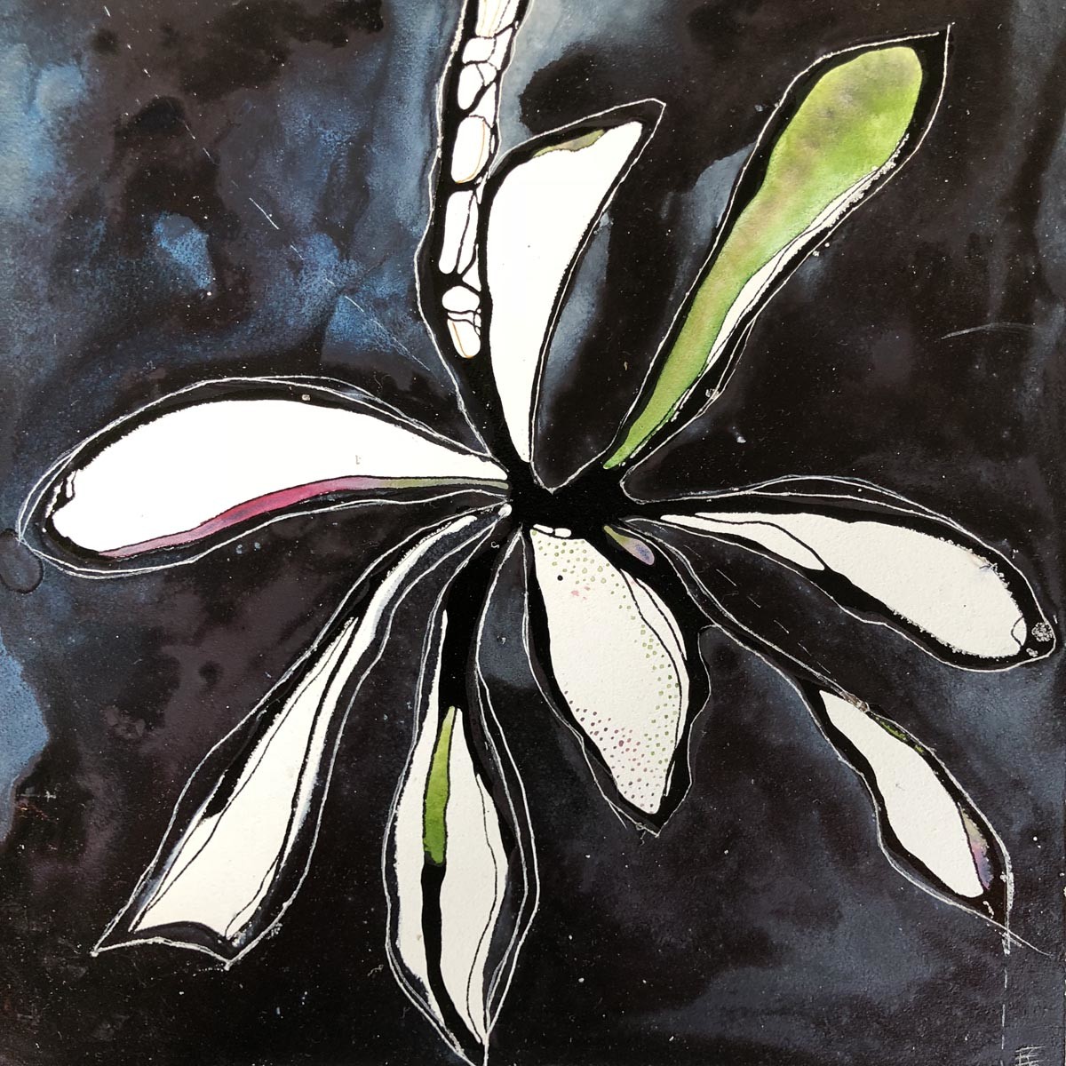 still i by fiona chandler, Image 1.