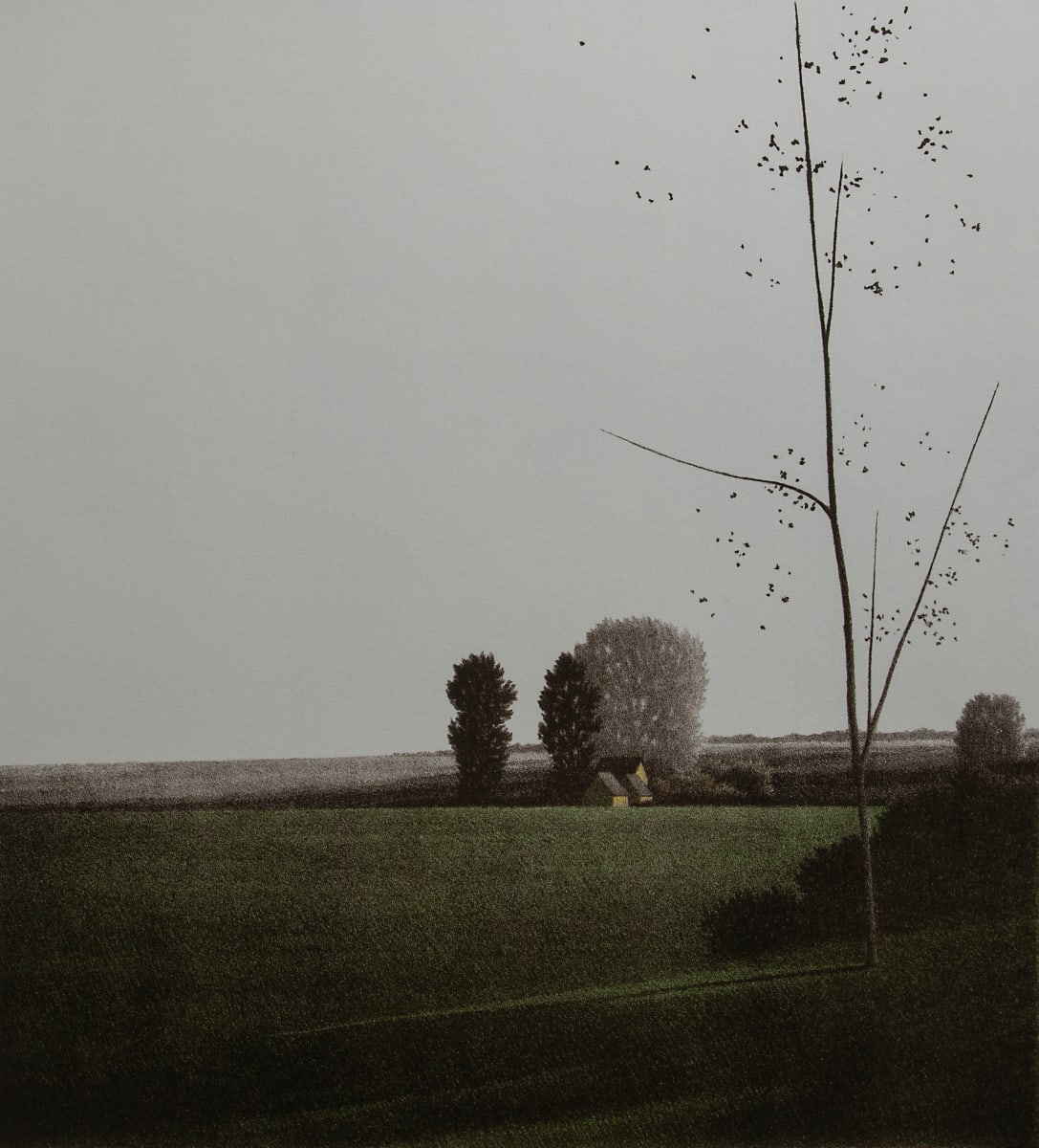 Fields at Morning by Robert Kipniss 