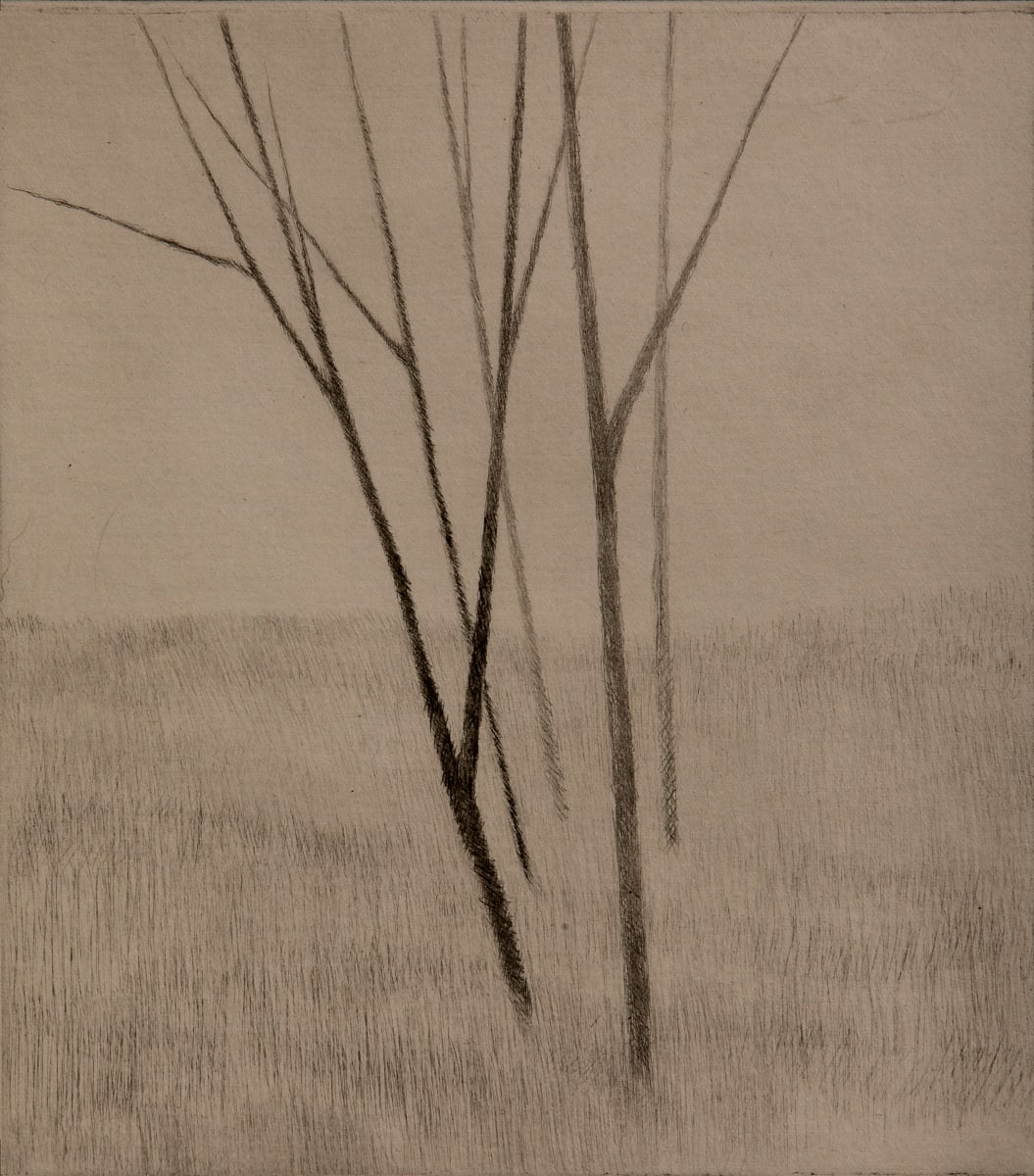 Slope w/five trees by Robert Kipniss, Image 1.