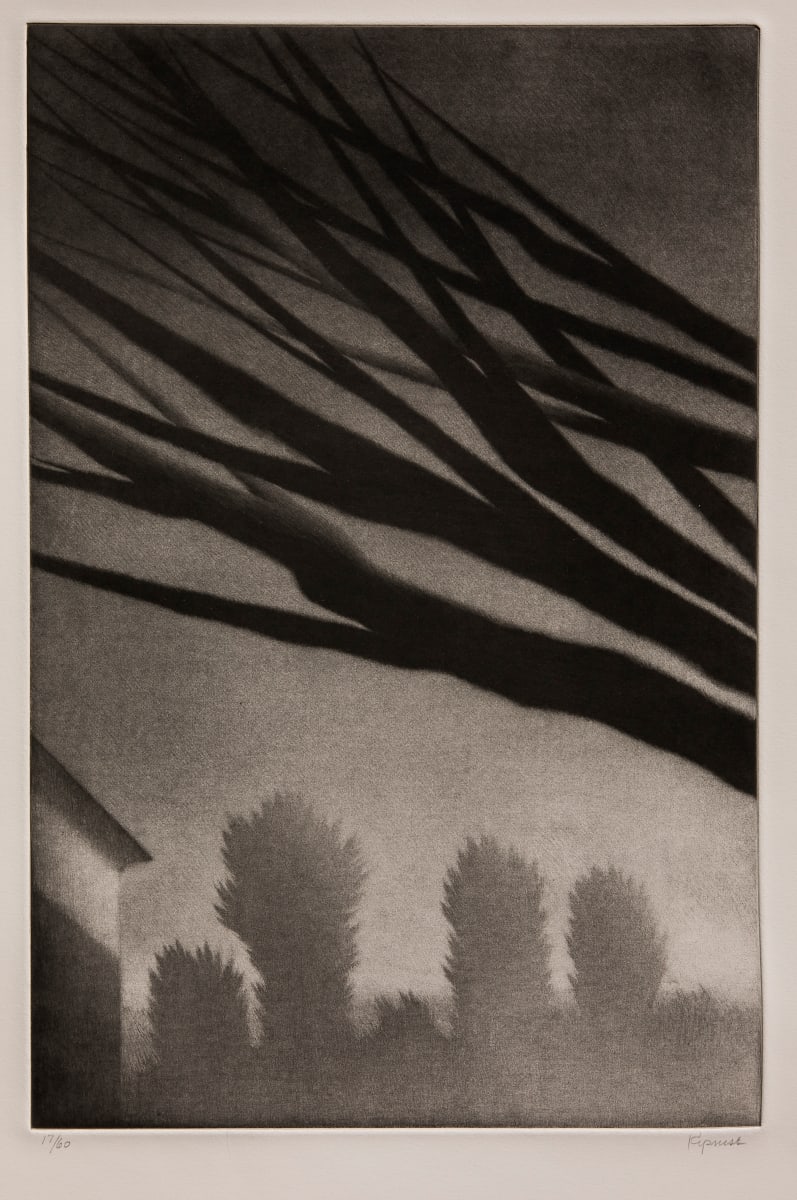 Branches, Millerton by Robert Kipniss, Image 1.