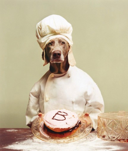 B is for Baker by William Wegman 