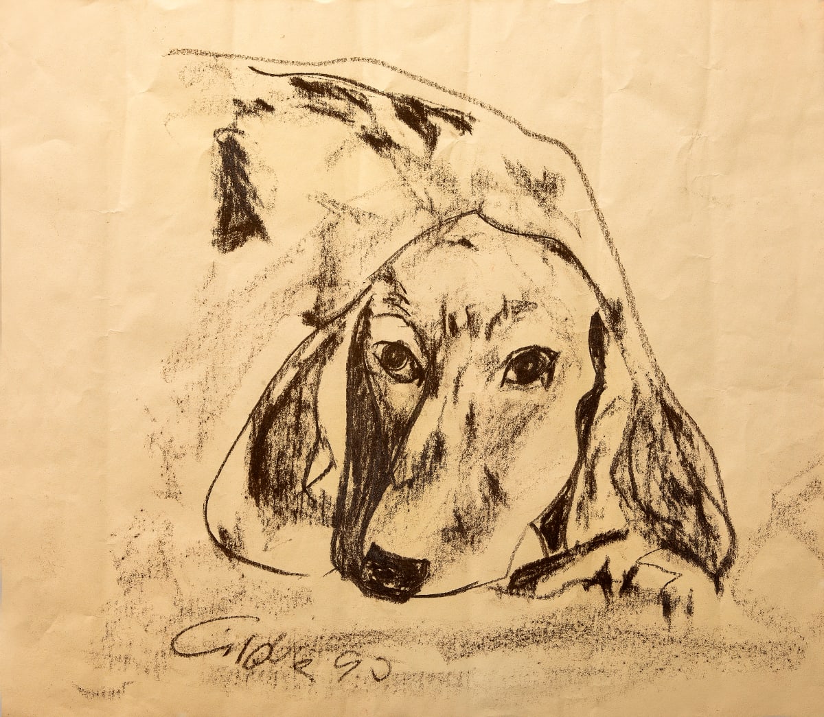 Untitled (Daschund) by Artist Unknown 