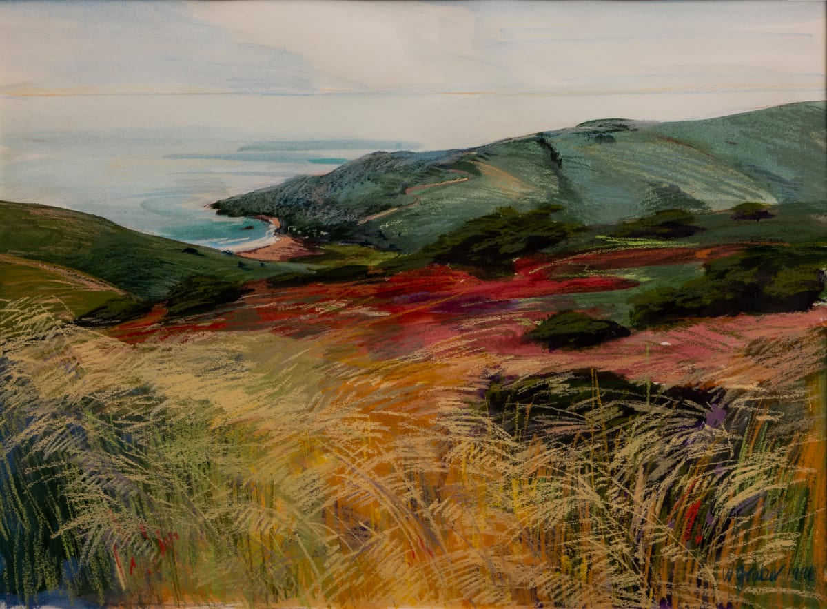 Muir Beach by Wendy Gruber 