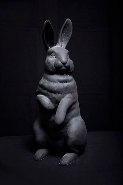 Bunny by Yoko Inoue 