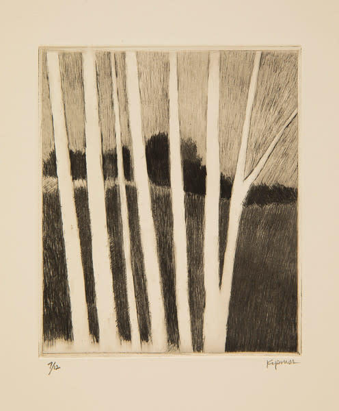 Dark Landscape w/Pale Trees by Robert Kipniss 