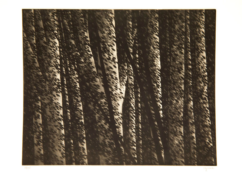 Forest Nocturne II by Robert Kipniss 