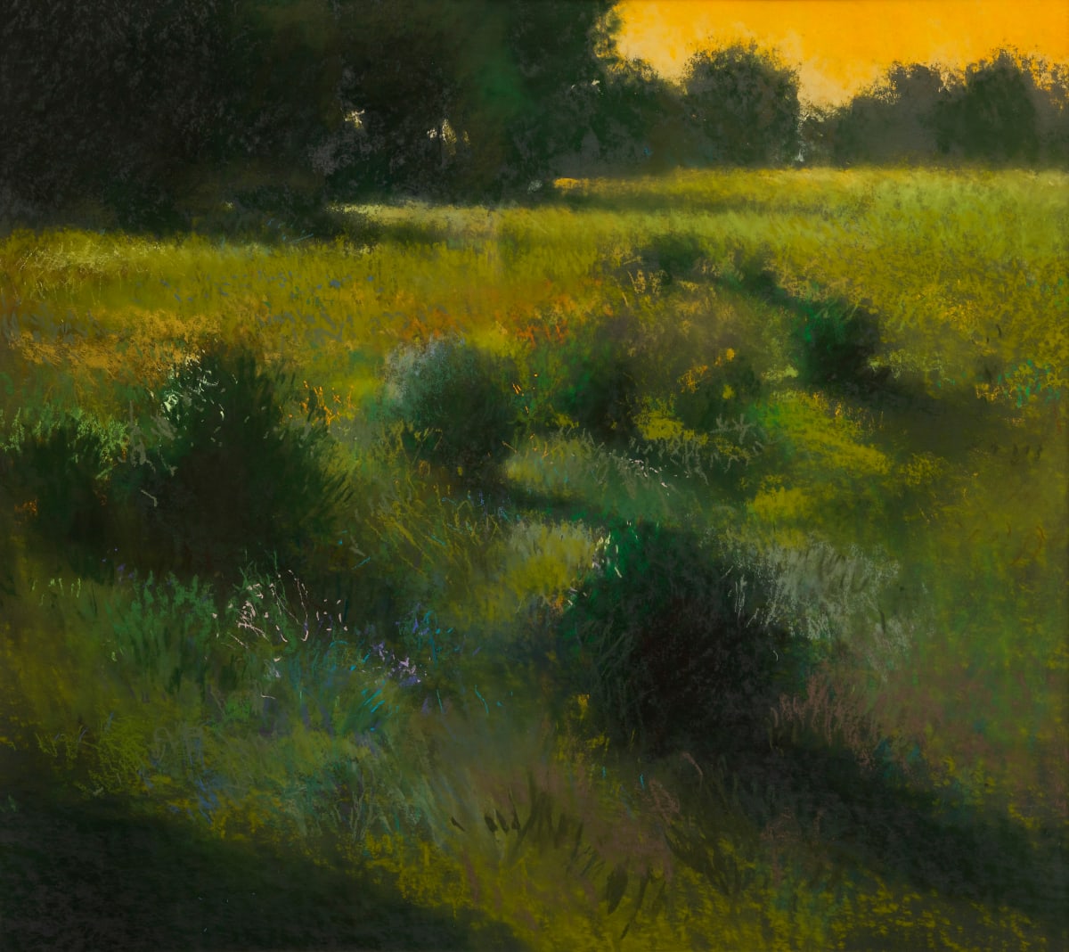 Whispering Meadow by Will Klemm 