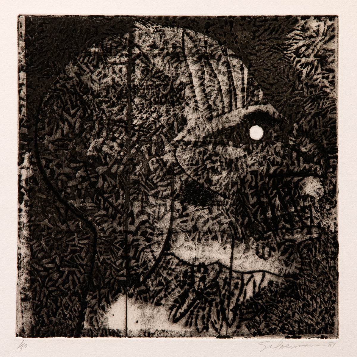 Head in Profile by Howard Silverman 