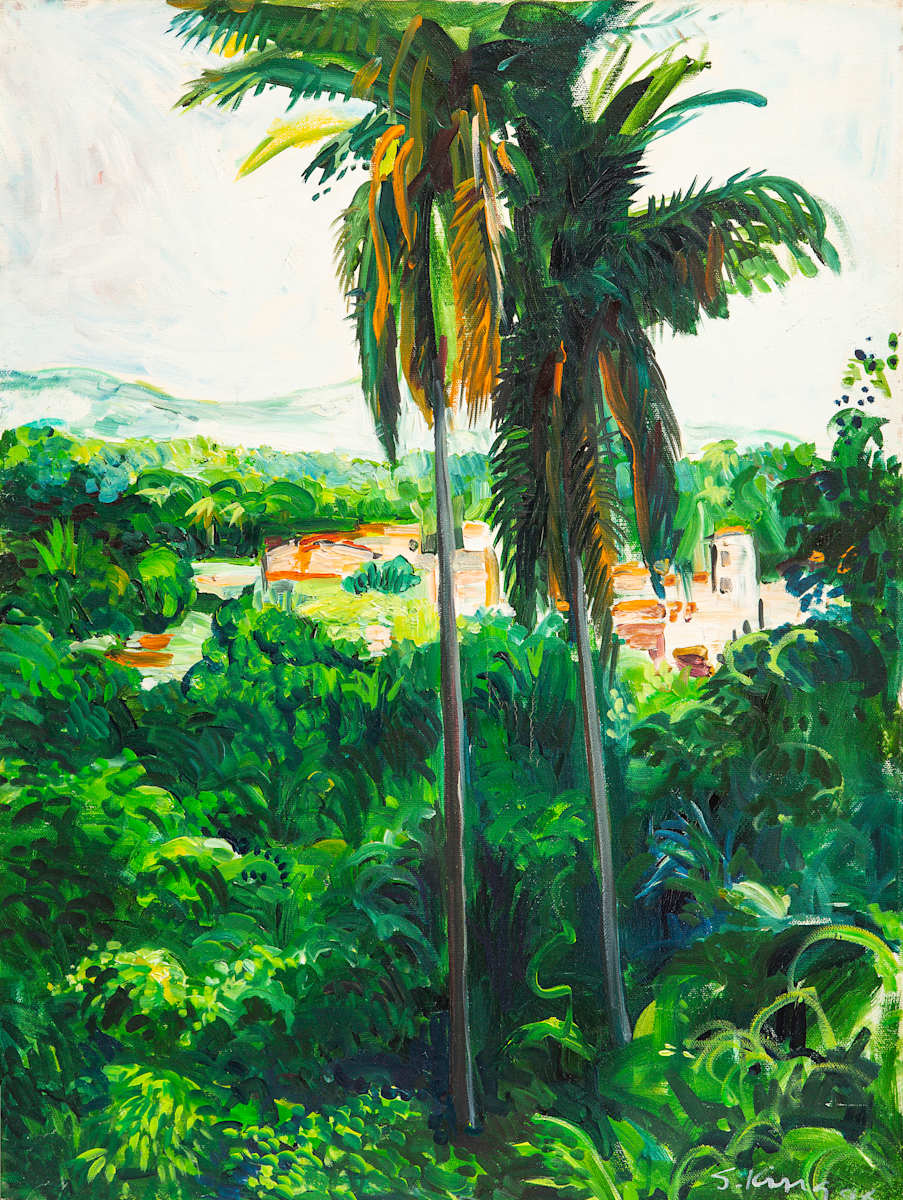 Untitled (Jungle Forest Landscape Near Puerto Vallarta) by Steven King, Image 1.
