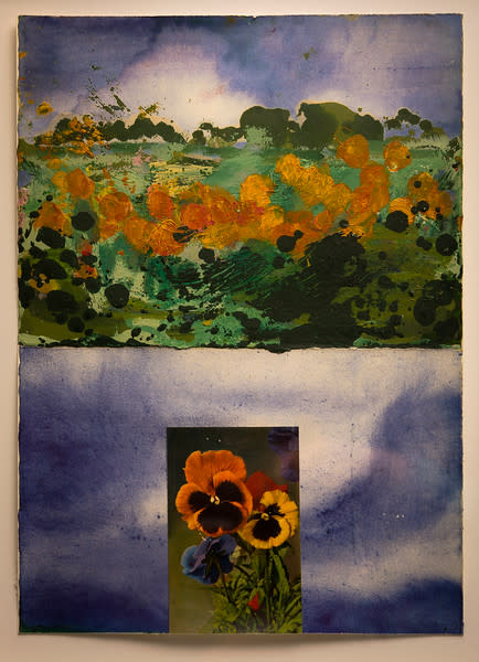 Pansies by Mark W. Wilson 