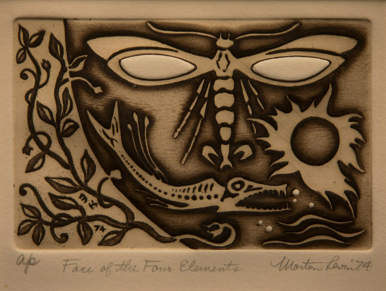 Face of the Four Elements by Morton Levin 