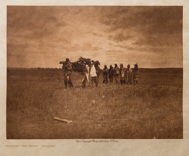 Bringing The Cedar-Arikara, 1908 by Edward S. Curtis 