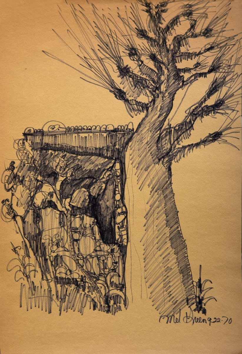 Sketch of Tree by Mel Green 