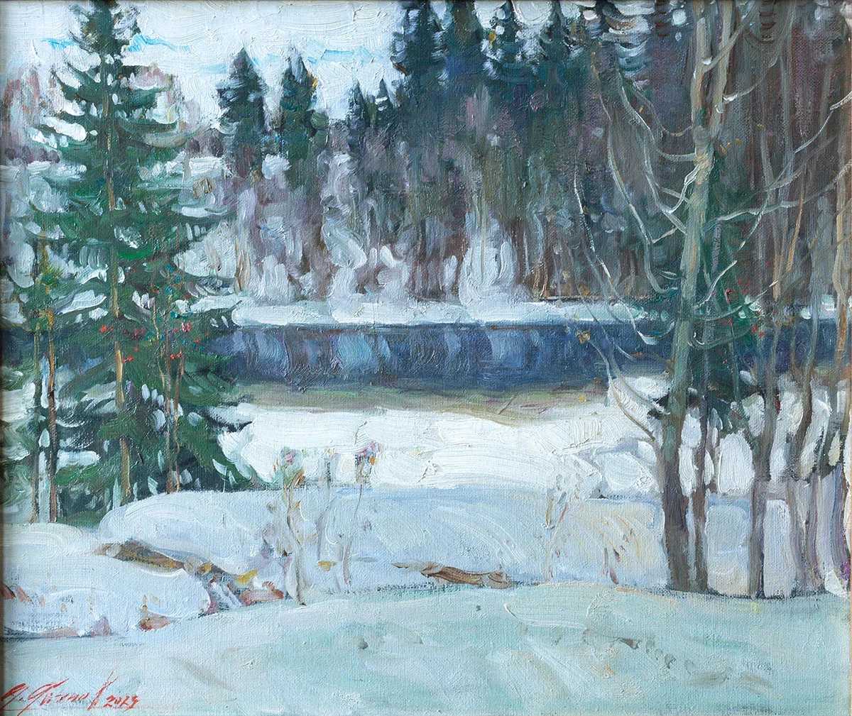 Зима на Академичке by Александр Абинов, Image 1.