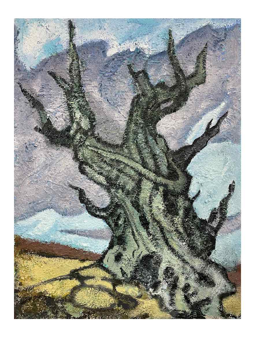 Bristle Cone Pine 3 by Michael Sherman, Image 4.
