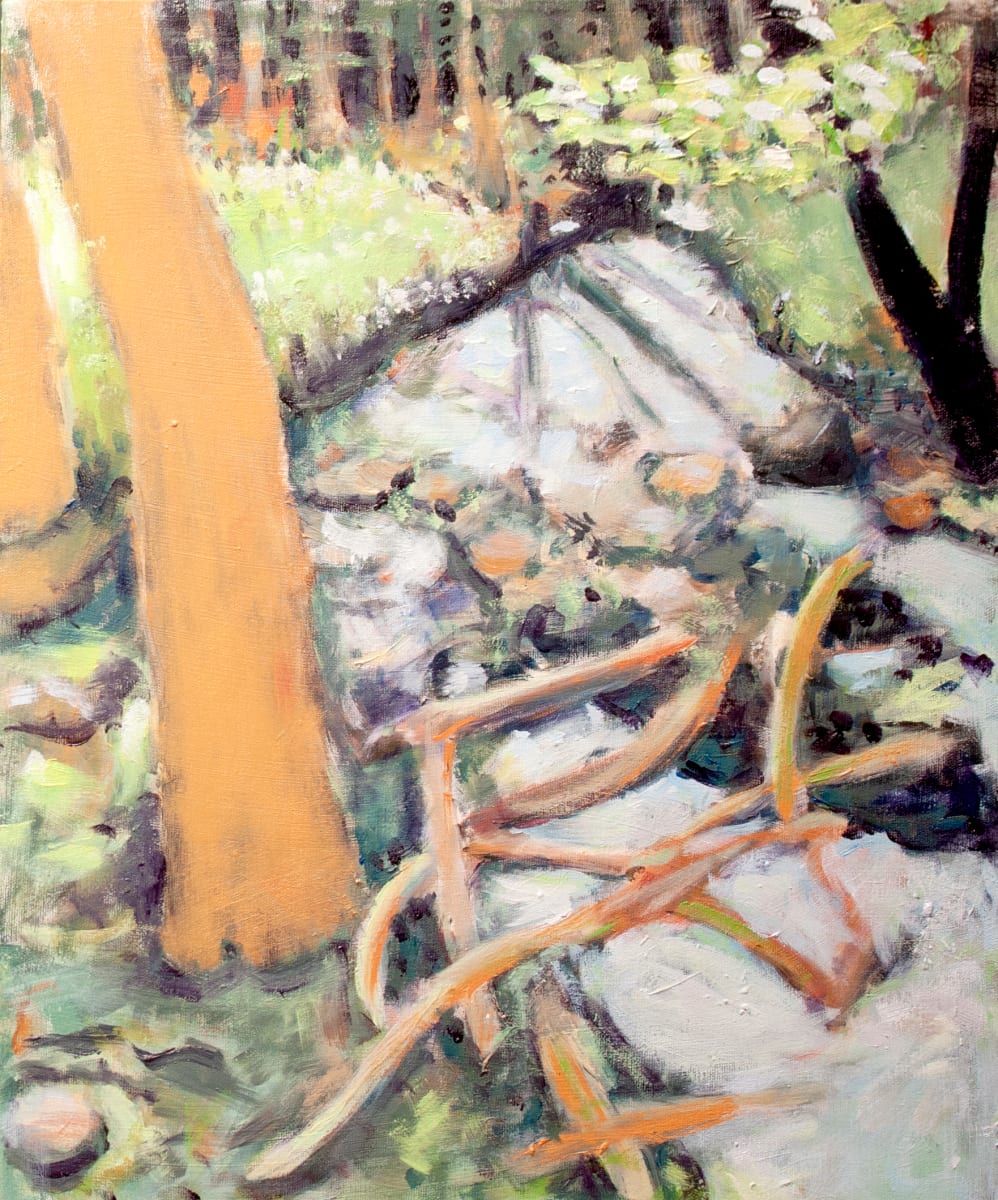 Fox Hollow, Image 1.
