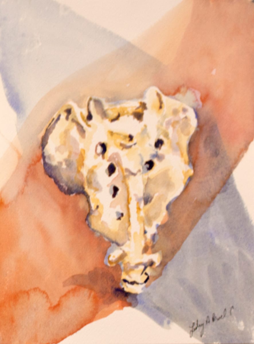 Portrait of a Sacrum by Lesley A. Powell 