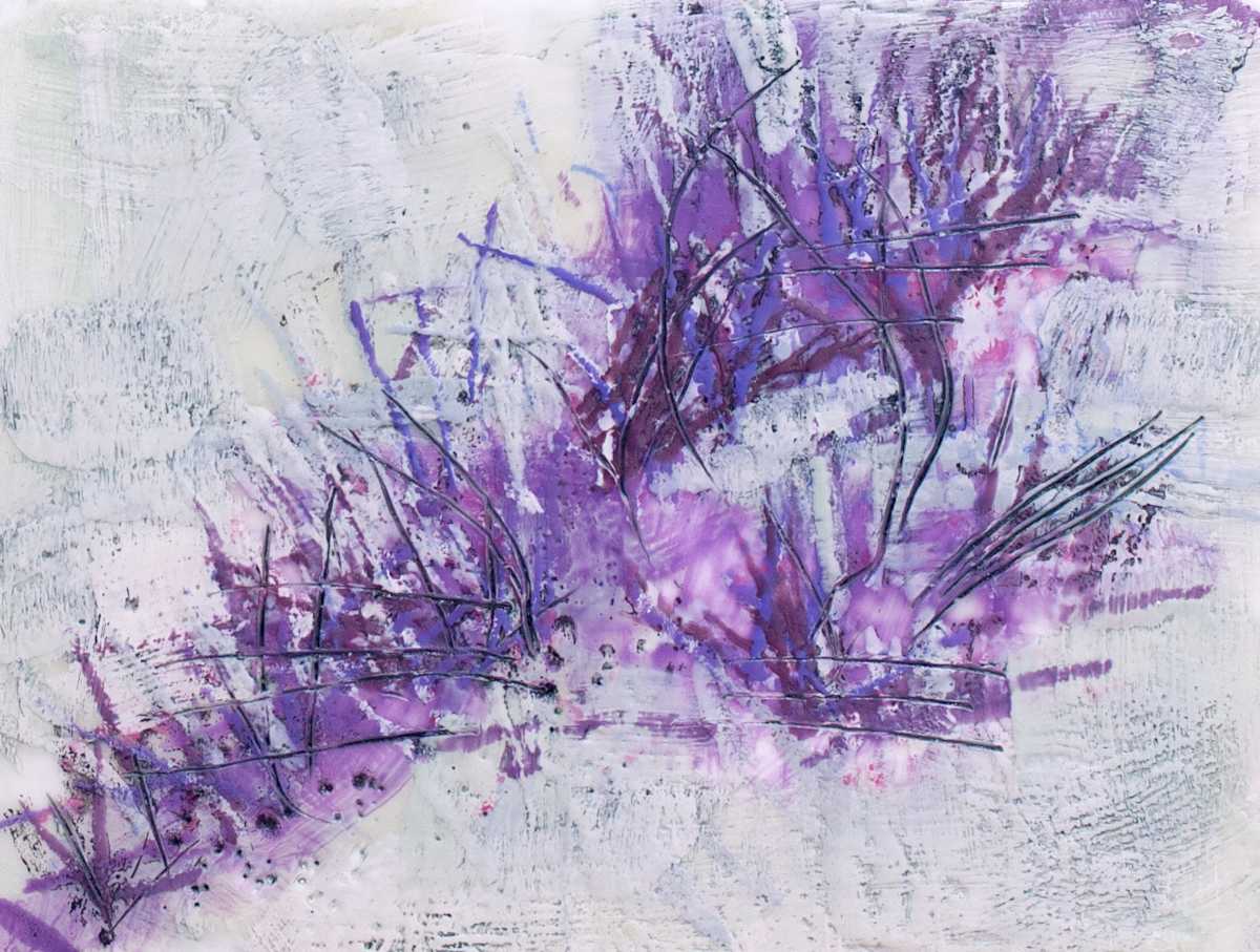 Purple Field by Lesley A. Powell 
