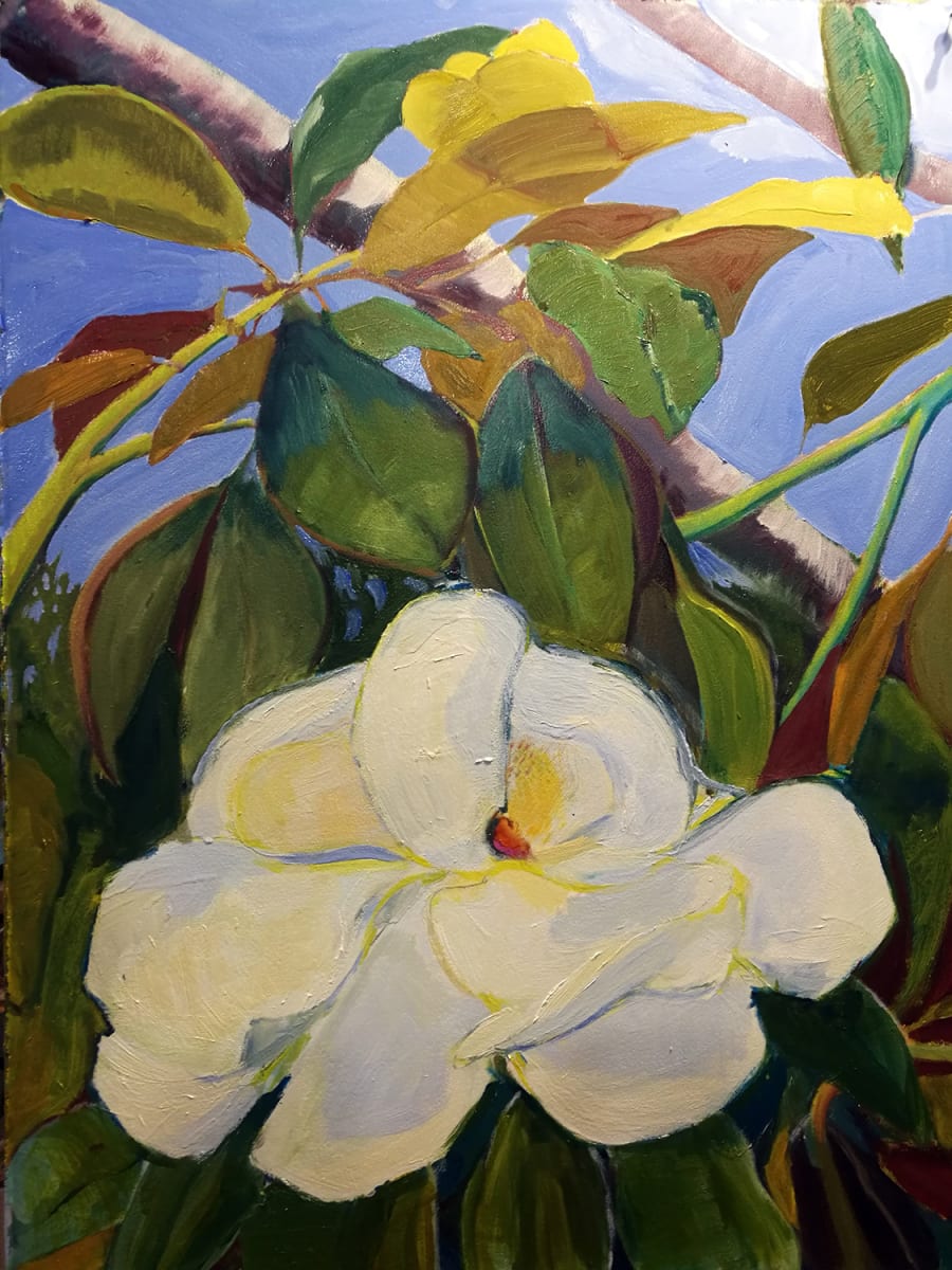 Magnolia by Cristi Lyon 
