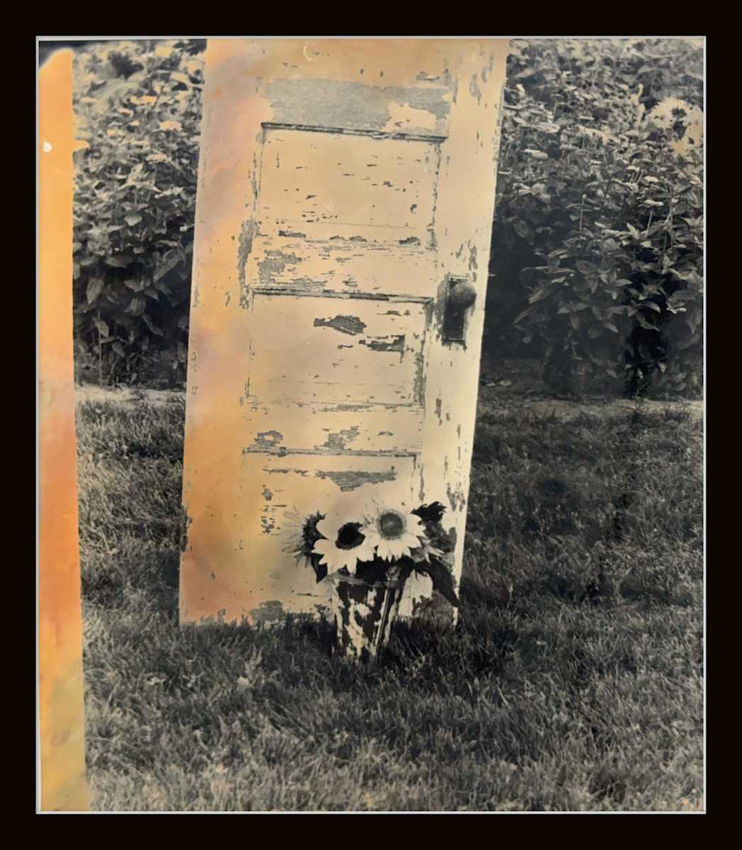 Photography #0010 by Shama Shams, Image 1.