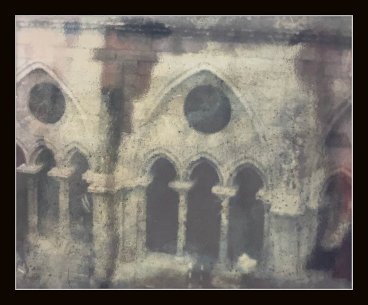 Photography #006 by Shama Shams, Image 1.