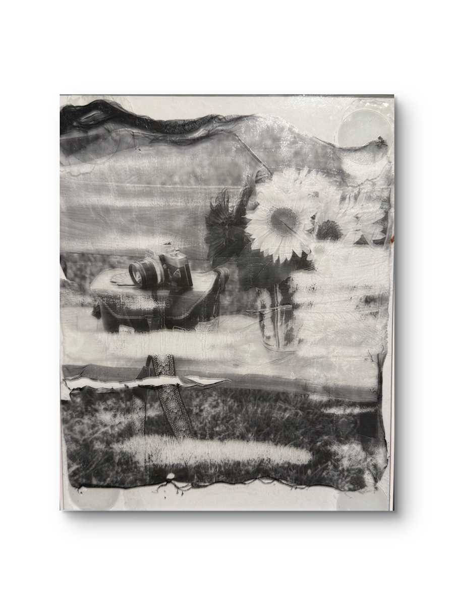 Analoig by Shama Shams, Image 1.