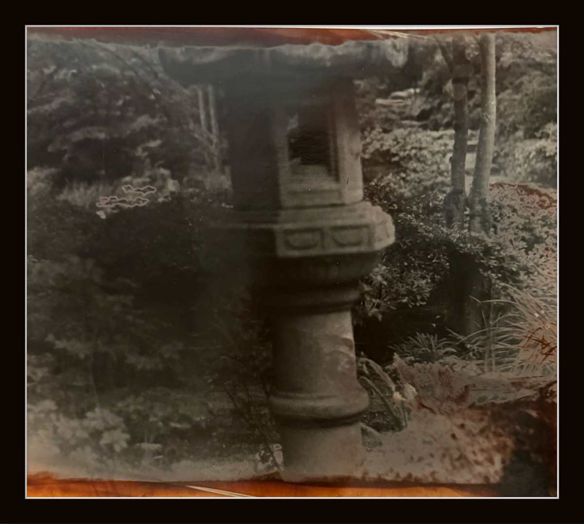 Photography #0020 by Shama Shams, Image 1.