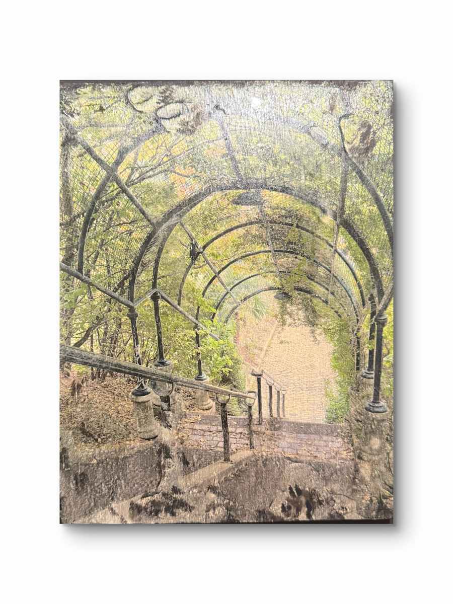 Stroll in Paris by Shama Shams, Image 1.