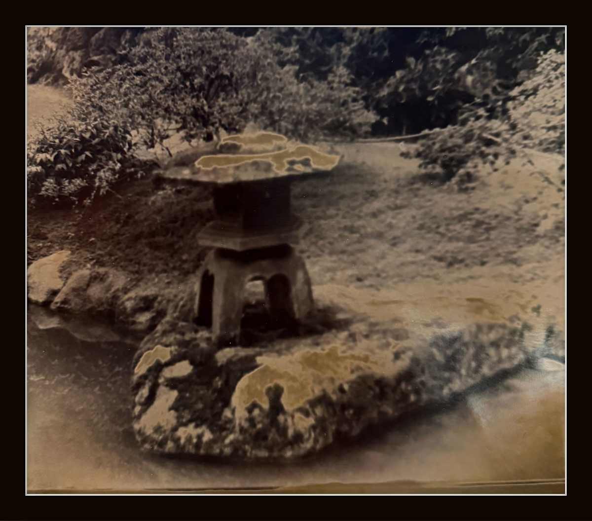 Photography #0018 by Shama Shams, Image 1.