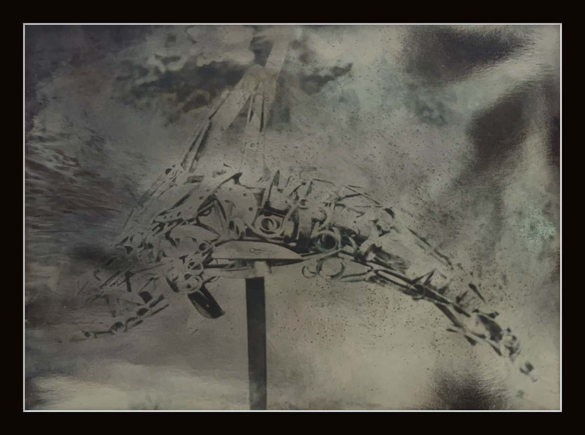 Photography #0013 by Shama Shams, Image 1.
