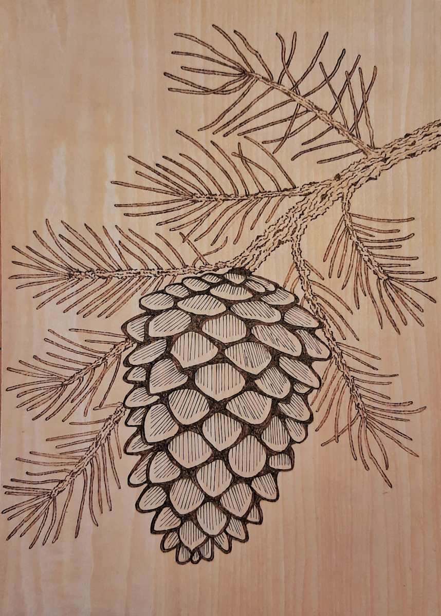 Proud Pine Cone by Mara Wolf, Image 1.