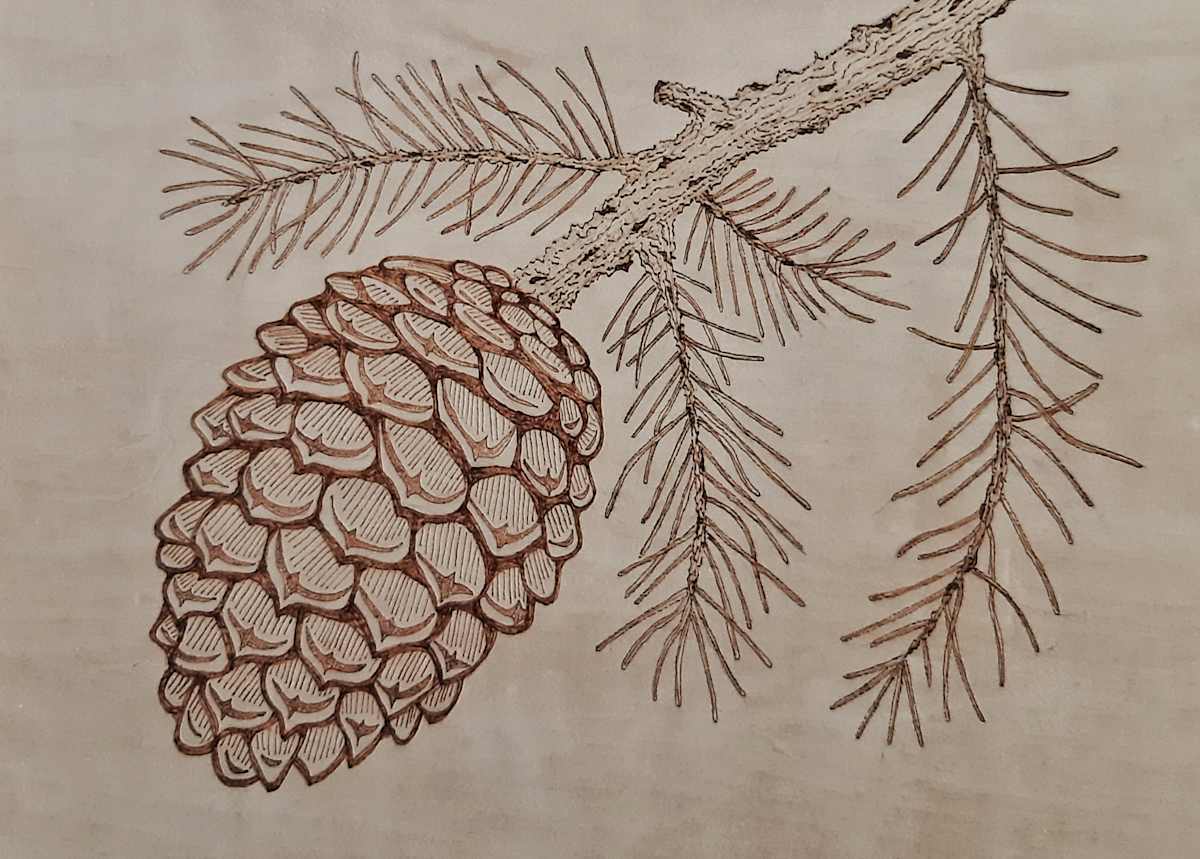 Prickly Pine Cone by Mara Wolf, Image 1.