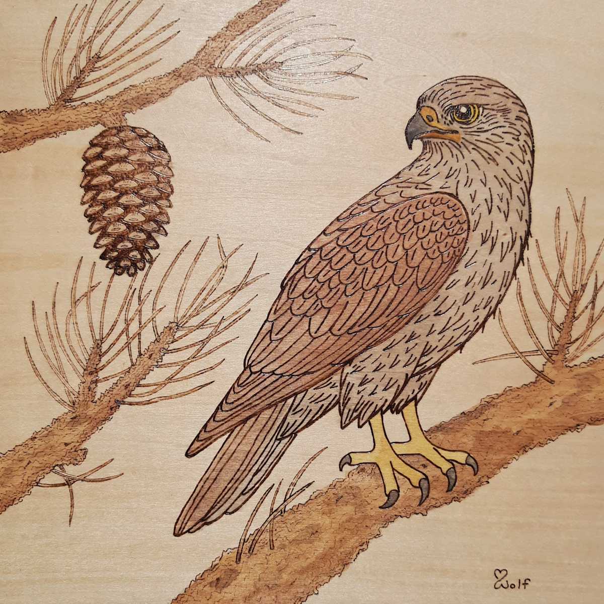Hawk Hunter by Mara Wolf, Image 1.