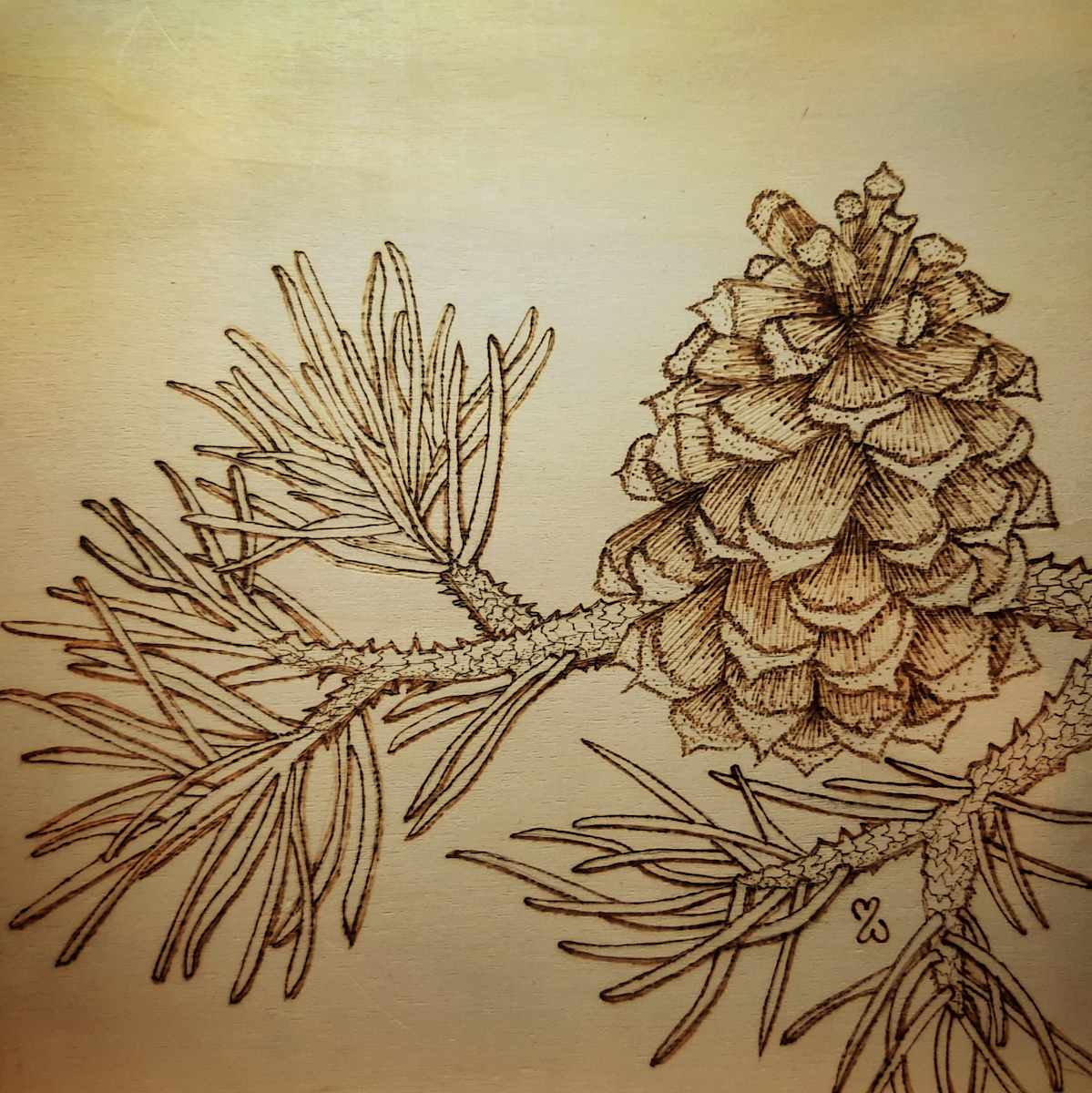 Pine Cone Dreams by Mara Wolf, Image 1.