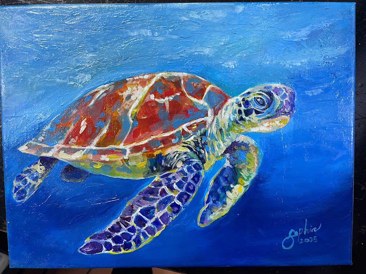 Turtle by Sophia Manning, Image 1.
