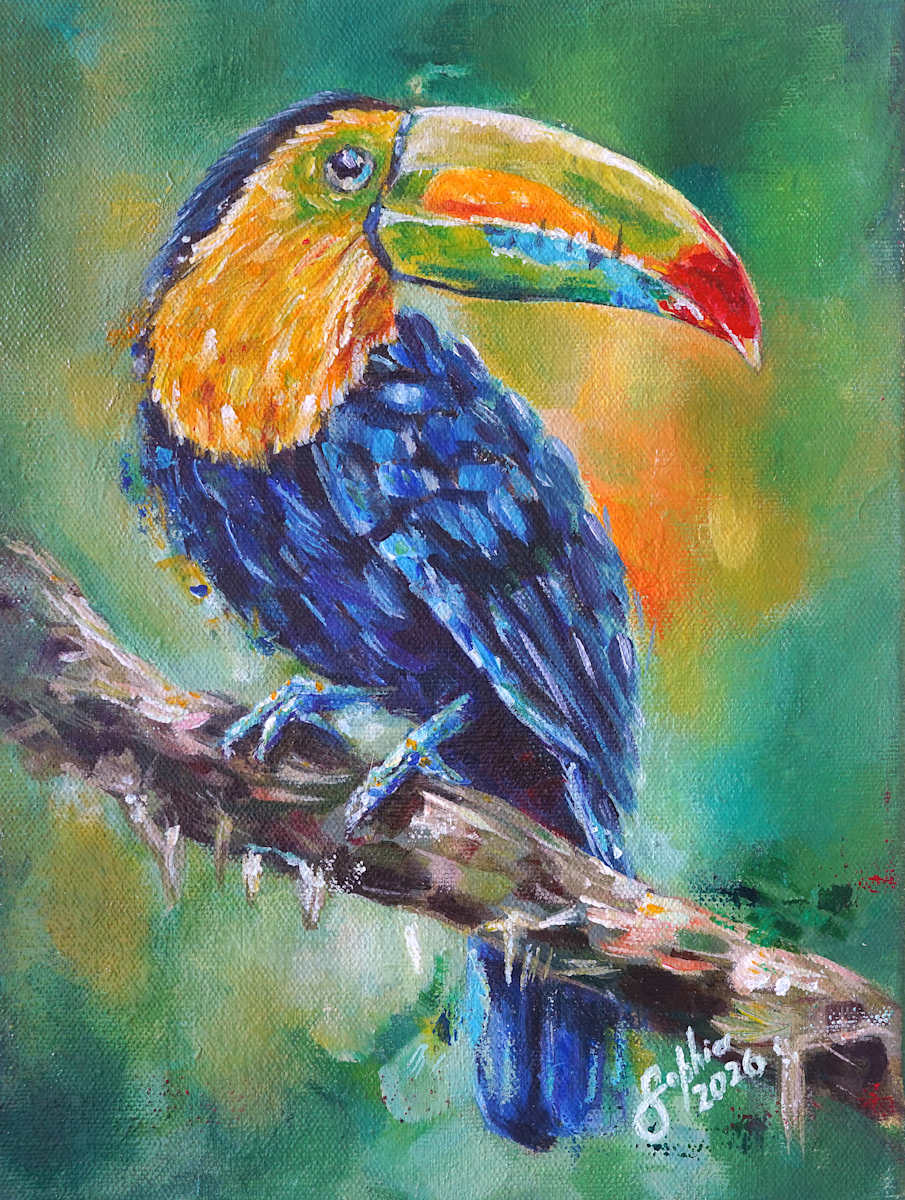 Tucan Bird by Sophia Manning, Image 1.