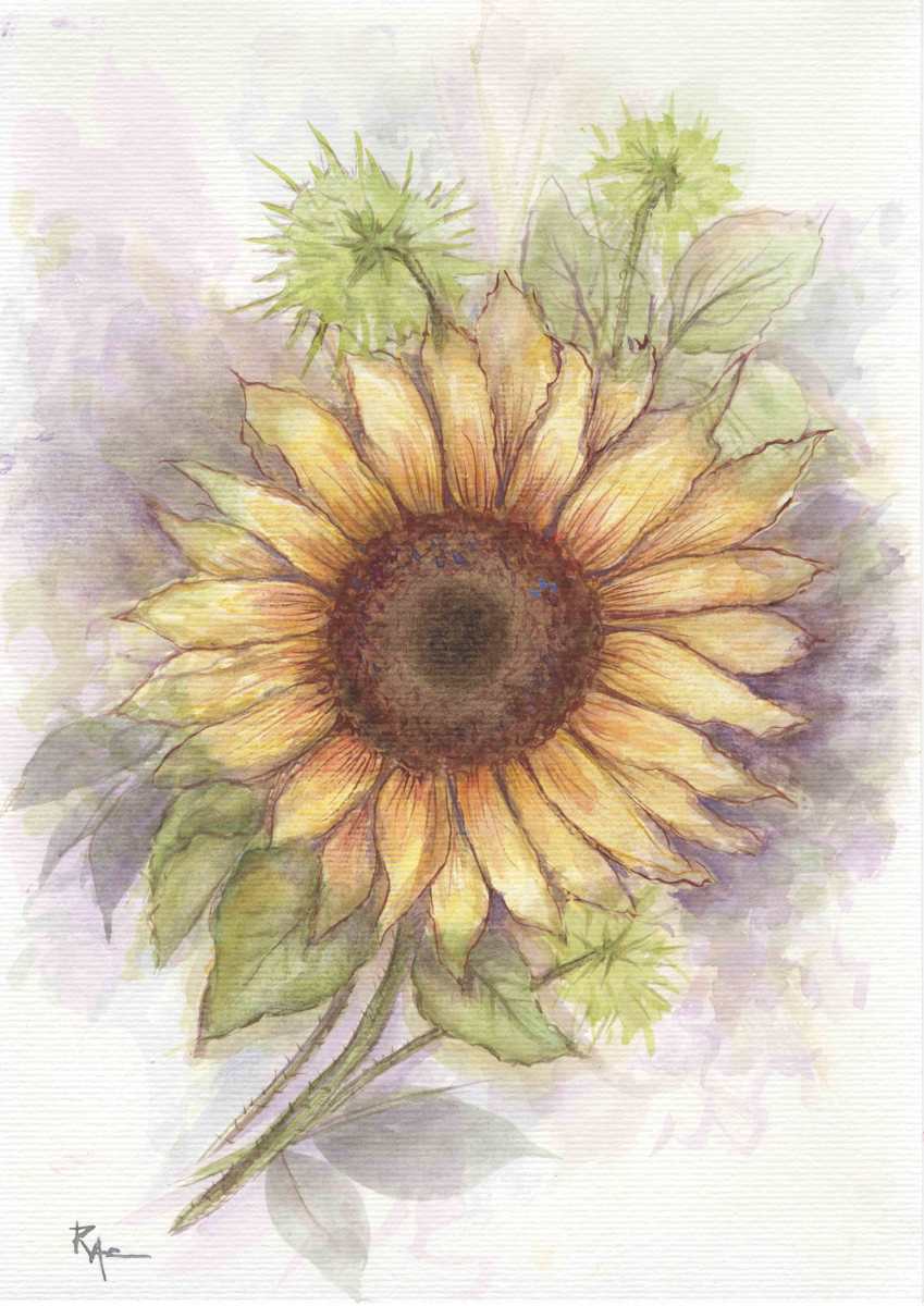 Sunflower Light by Rosangela Castro, Image 1.