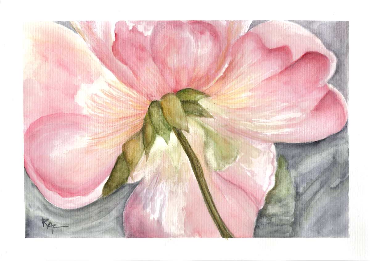Rose from Below by Rosangela Castro, Image 1.