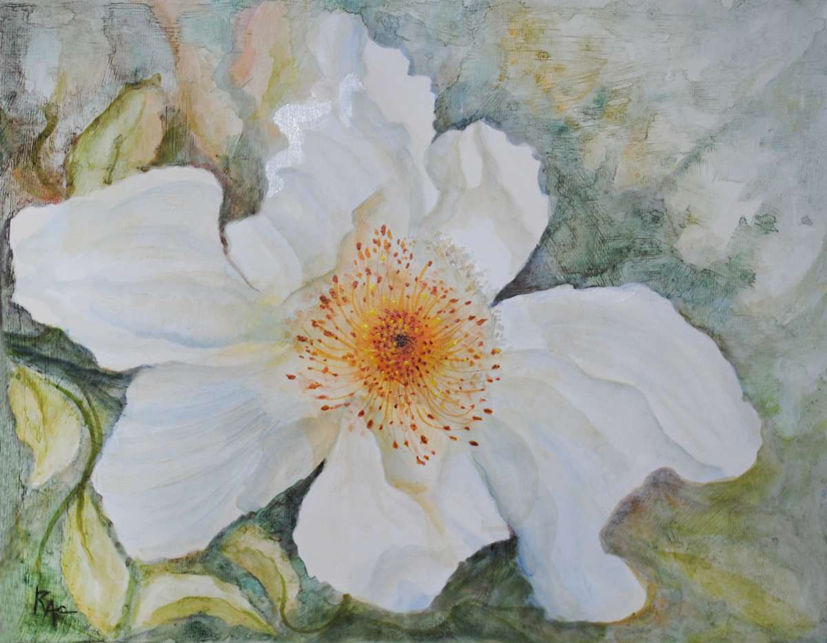 Wild Rose Glow by Rosangela Castro, Image 1.