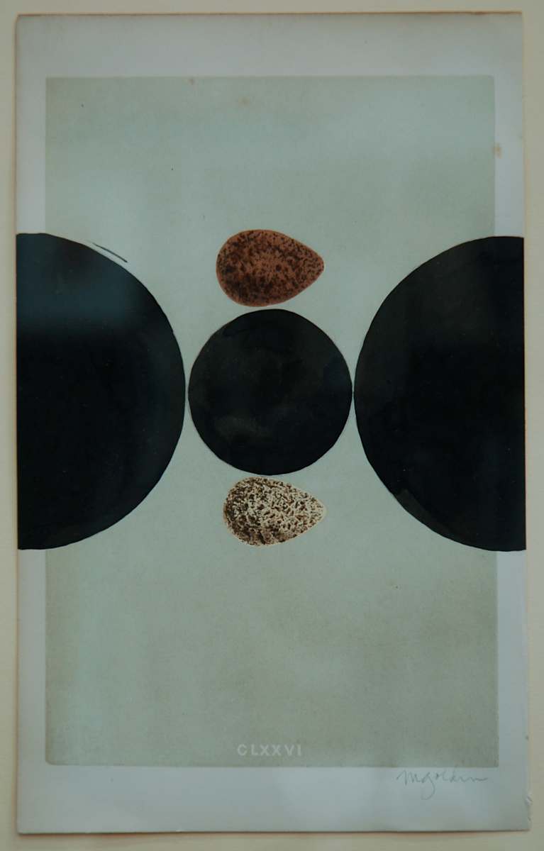 Untitled by Michael Golden, Image 1.