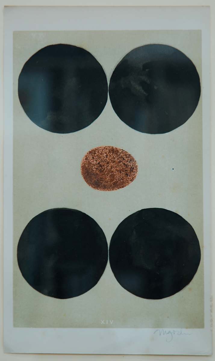 Untitled by Michael Golden, Image 1.