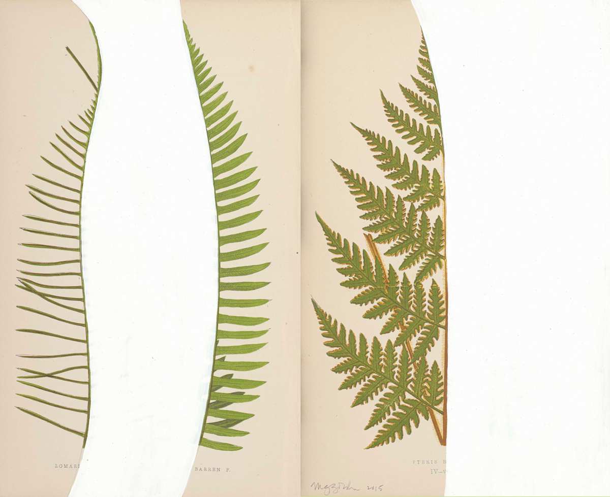 Untitled (Fern I) by Michael Golden, Image 1.
