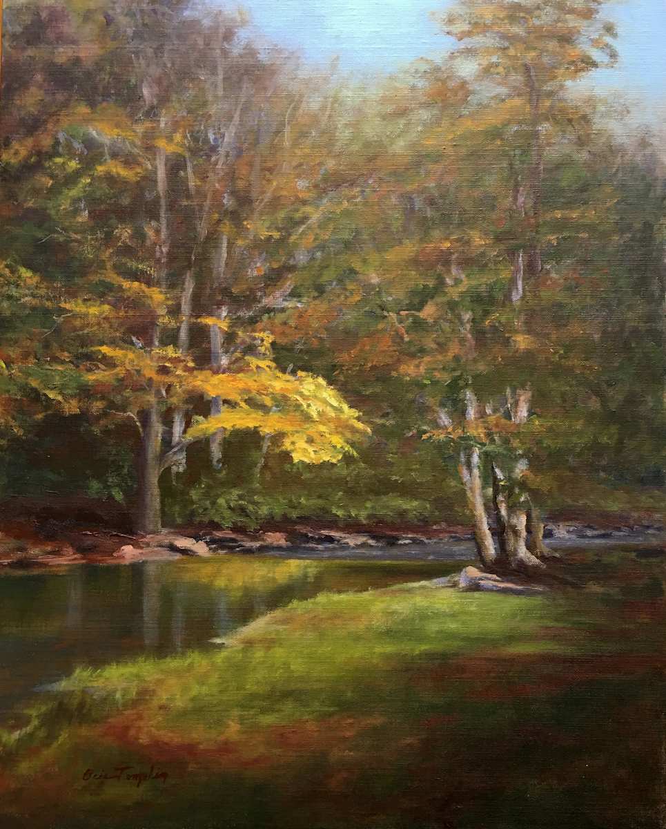 Heavner Dam by Ocie Templin, Image 1.